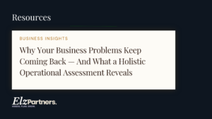 ELZ Fractional Partners pillar page — Why Your Business Problems Keep Coming Back And What a Holistic Operational Assessment Reveals — holistic business assessment operational assessment small business